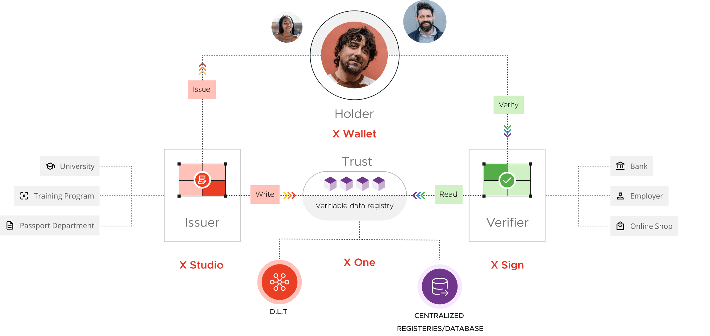 infographic about the x One process